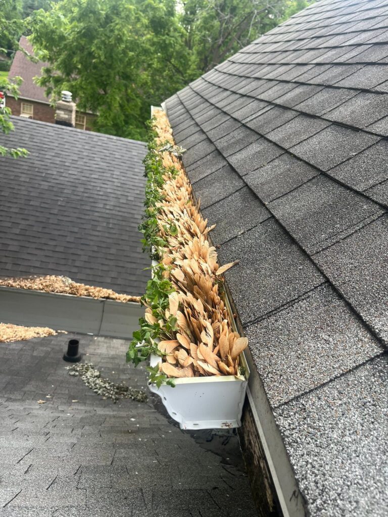 before gutter cleaning