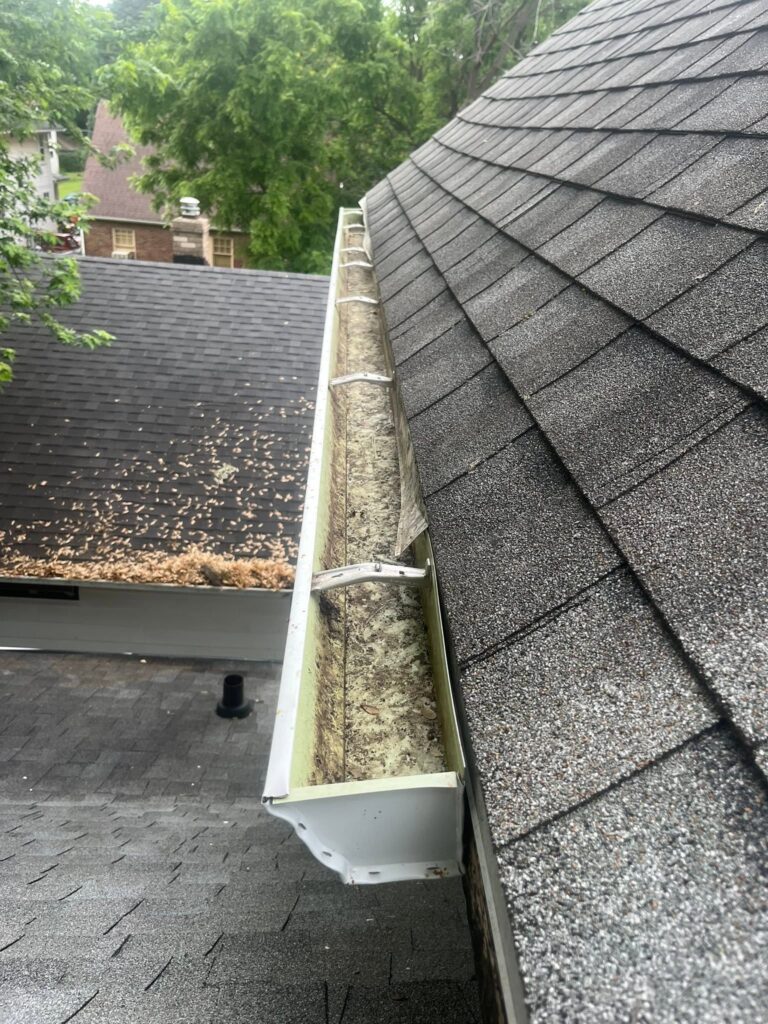 after gutter cleaning
